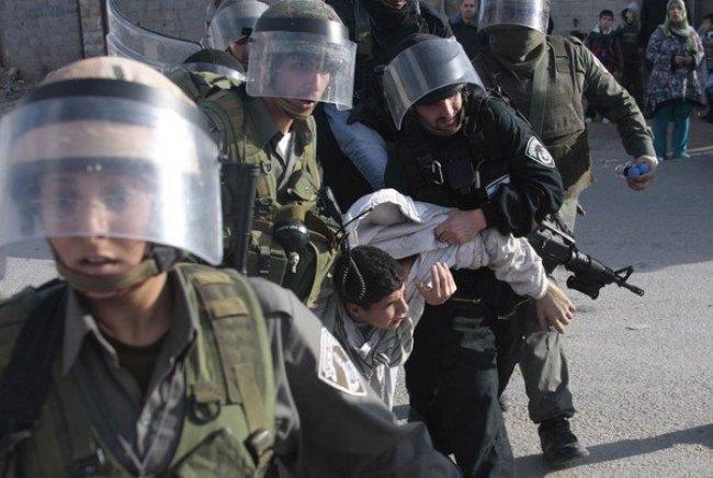 قوات الاحتلال تعتقل 11 مواطنًا