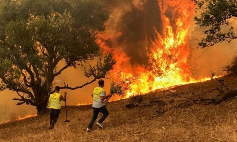 مقتل 26 شخصا بسبب الحرائق في شرق الجزائر