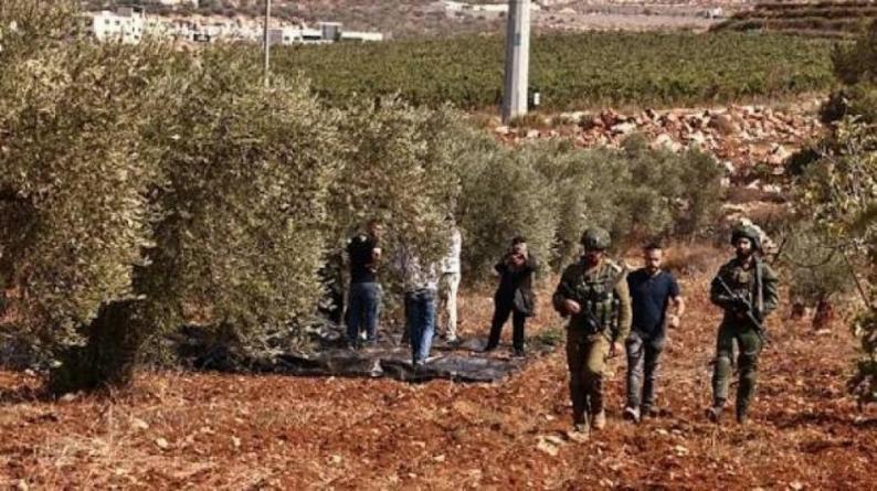 مستوطنون يُهاجمون مزارعين شمال سلفيت ويُحطمون مركبة