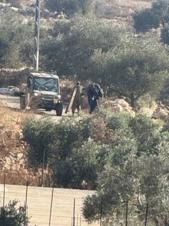 جنود الاحتلال يطردون مزارعين ويستولون على ثمار الزيتون في اللبن الشرقية