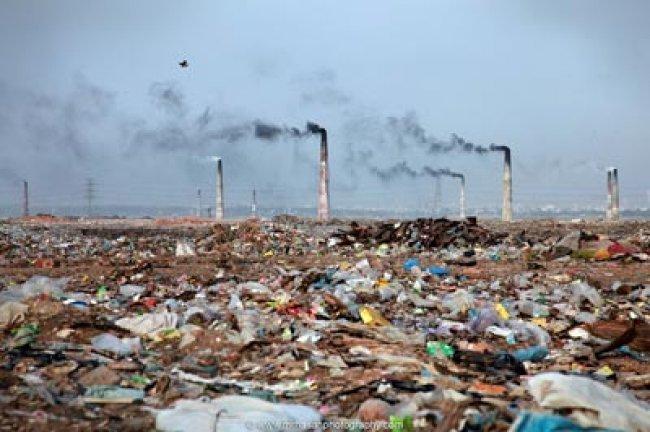 أبو قرع يحذر من العلاقة بين انتشار التلوث البيئي وتصاعد الامراض المزمنة في بلادنا