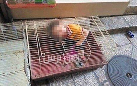 حدث في القدس..بائع عصافير يحبس طفله في قفص