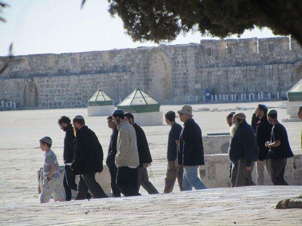 بالصور... مستوطنون يقتحمون الأقصى