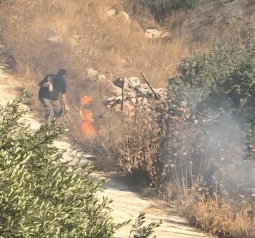 مستوطنون يهاجمون منازل ويضرمون النار في أراض بقرية برقا شرق رام الله مستوطنون يهاجمون منازل ويضرمون النار في أراض بقرية برقا شرق رام الله