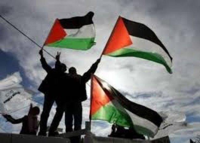مخزون الكبد الفلسطيني
