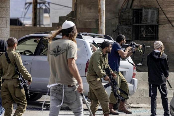 مستوطنون يعتدون على 3 مواطنين بالضرب في بيت لحم مستوطنون يعتدون على 3 مواطنين بالضرب في بيت لحم