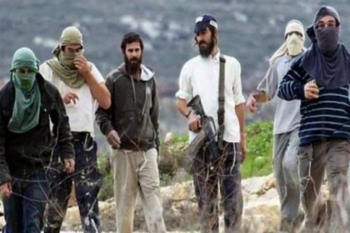 مستوطنون يهاجمون برقا شرق رام الله ويحاولون إحراق منزل مستوطنون يهاجمون برقا شرق رام الله ويحاولون إحراق منزل