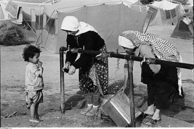 حوالي 42% من مجمل السكان في دولة فلسطين لاجئون
