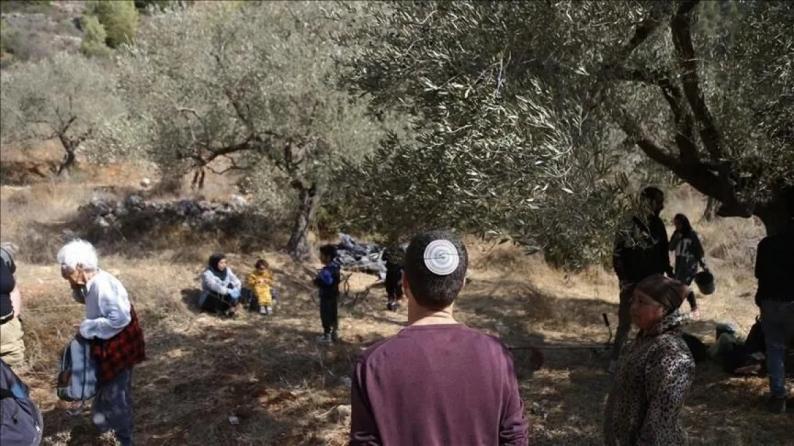 تواصل اعتداءات المستوطنين في الضفة.. إصابات وسرقة لمحاصيل الزيتون ومنع المزارعين من الوصول إلى أراضيهم تواصل اعتداءات المستوطنين في الضفة.. إصابات وسرقة لمحاصيل الزيتون ومنع المزارعين من الوصول إلى أراضيهم