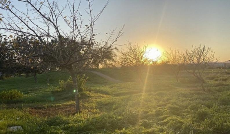 الطقس: أجواء متقلبة حتى الخميس وانخفاض تدريجي على الحرارة الطقس: أجواء متقلبة حتى الخميس وانخفاض تدريجي على الحرارة