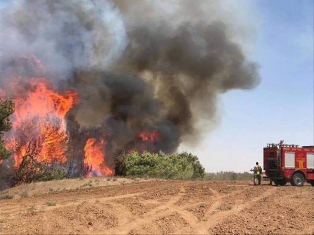 11 فريقاً من إطفاء الاحتلال يعجزون عن السيطرة على حريق هائل أشعلته بالونات غزة الحارقة!