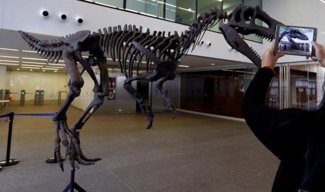 اكتشاف حفريات ديناصور من أكلة اللحوم بالأرجنتين