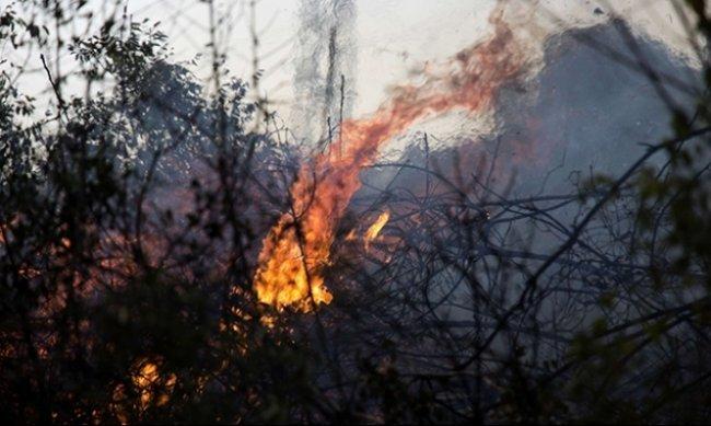 إجلاء سكان عن منازلهم عقب حرائق بغابات القدس
