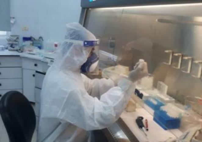 وزيرة الصحة: مواد فحص فيروس كورونا ستكون متوفرة في مختبرات الوزارة مساء اليوم