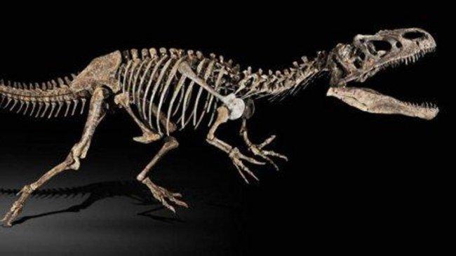اكتشاف نوع جديد من الديناصورات ذوات الريش في اليابان