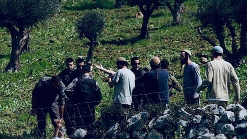 هيئة الجدار والاستيطان: 21 اعتداء للاحتلال ومستوطنيه على قاطفي الزيتون في 6 محافظات هيئة الجدار والاستيطان: 21 اعتداء للاحتلال ومستوطنيه على قاطفي الزيتون في 6 محافظات