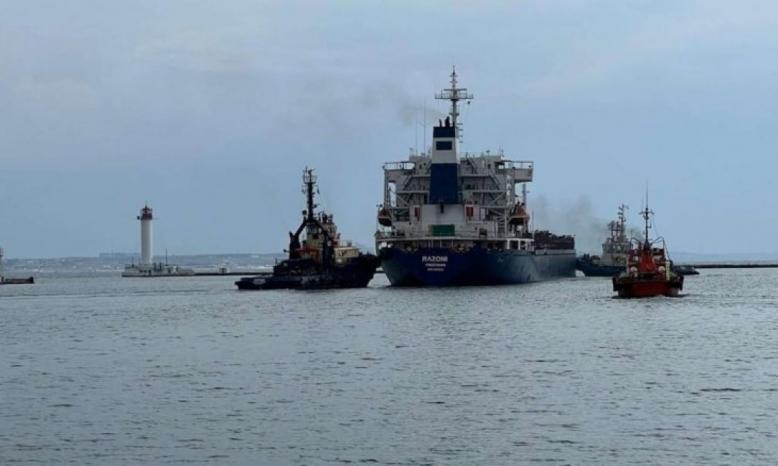 وصول أول سفينة حبوب أوكرانية إلى السواحل التركية