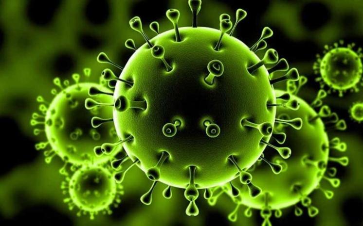 دراسة: الفيروس التاجي انقسم إلى 3 فروع
