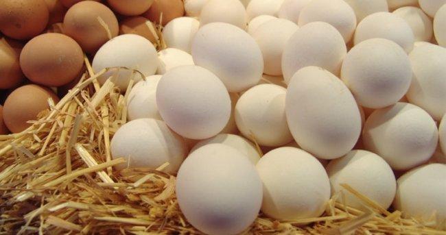الزراعة: ما أُشيع عن انخفاض اسعار البيض مؤخراً غير صحيح