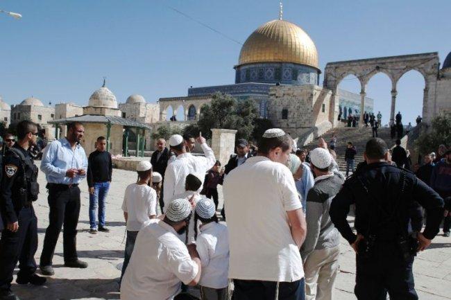 أوقاف القدس لـوطن: 2017 سجل أعلى نسبة اقتحامات إسرائيلية للمسجد الأقصى
