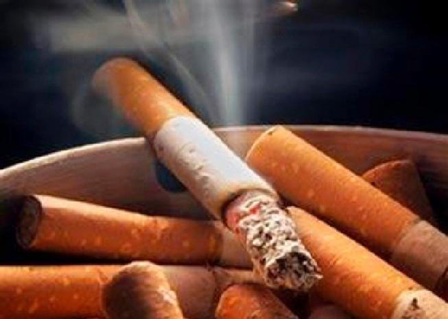 الأطباء يؤكدون أن التدخين أكبر كارثة فى تاريخ البشرية