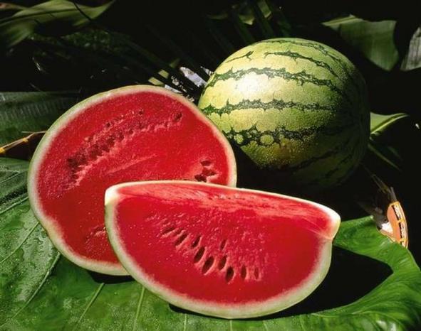 البطيخ الأحمر يحتوي على "فياجرا" طبيعية