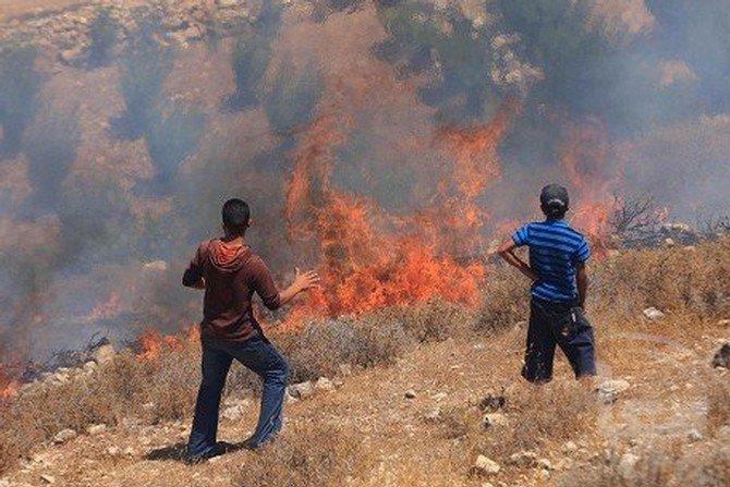 مستوطنون يضرمون النار في أراضٍ جنوب نابلس