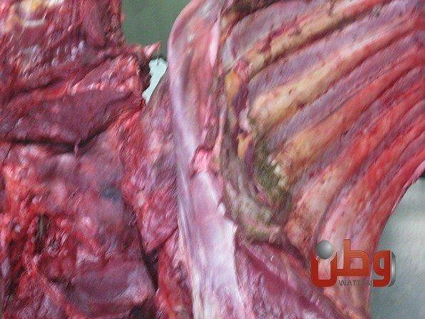 طولكرم: ضبط 250 كغم من اللحم البقري غير الصالح للاستخدام البشري
