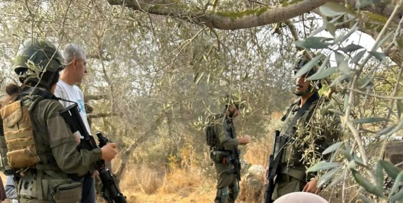 مستوطنون بحماية جنود الاحتلال يمنعون أهالي ترمسعيا من قطف الزيتون مستوطنون بحماية جنود الاحتلال يمنعون أهالي ترمسعيا من قطف الزيتون