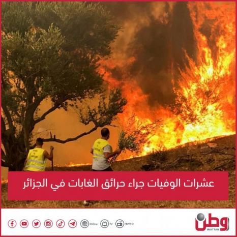 عشرات الوفيات جراء حرائق الغابات في الجزائر