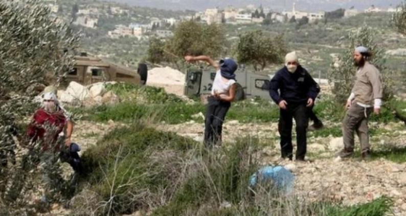 5 إصابات باعتداء للمستوطنين على مزارعين في سبسطية