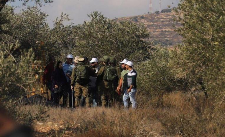 مستوطنون يمنعون مزارعين من قطف الزيتون في ديراستيا مستوطنون يمنعون مزارعين من قطف الزيتون في ديراستيا