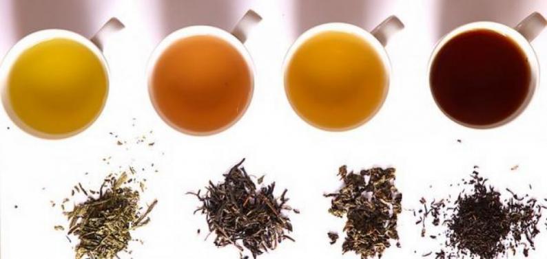 أنواع الشاي المفيدة في موسم البرد