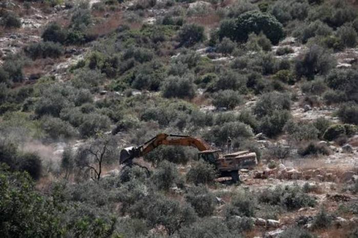 الرابع منذ صباح اليوم: الاحتلال يُصدر أمرا عسكريا جديدا يستهدف إزالة الأشجار من 99 دونما في دير نظام