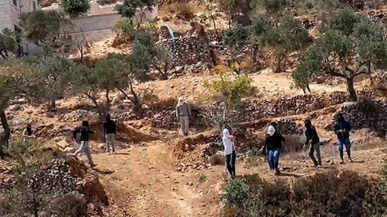 للمرة الخامسة: مستوطنون يقطعون الكهرباء عن منطقة المسعودية في برقة للمرة الخامسة: مستوطنون يقطعون الكهرباء عن منطقة المسعودية في برقة