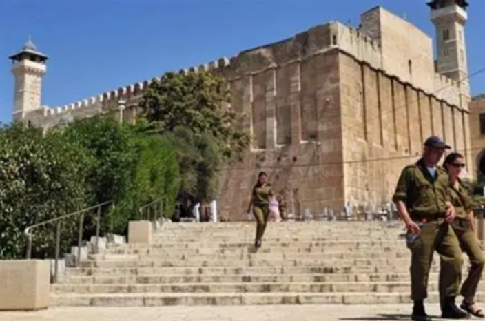 رئيس بلدية الخليل: إجراءات الاحتلال تخنق المدينة وتعرقل حياة المواطنين رئيس بلدية الخليل: إجراءات الاحتلال تخنق المدينة وتعرقل حياة المواطنين