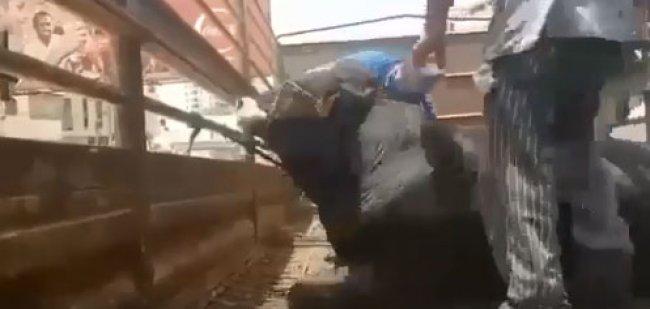 فيديو| اعتداء وحشي على عجل في كفر عقب والشرطة تقبض على أحد المعتدين وتغلق ملحمته