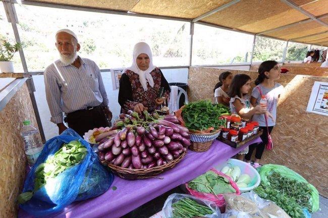 مهرجان الباذنجان متنفّس للمزارعين في قرية "بتير" مهرجان الباذنجان متنفّس للمزارعين في قرية "بتير"