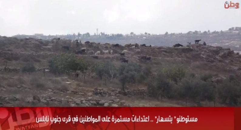 خاص لـ "وطن": بالفيديو... مستوطنو " يتسهار" .. اعتداءات مستمرة على المواطنين في قرى جنوب نابلس خاص لـ "وطن": بالفيديو... مستوطنو " يتسهار" .. اعتداءات مستمرة على المواطنين في قرى جنوب نابلس