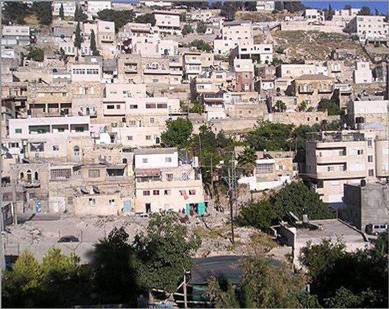 الاحتلال يوزع أوامر هدم جديدة في حي البستان بسلوان الاحتلال يوزع أوامر هدم جديدة في حي البستان بسلوان