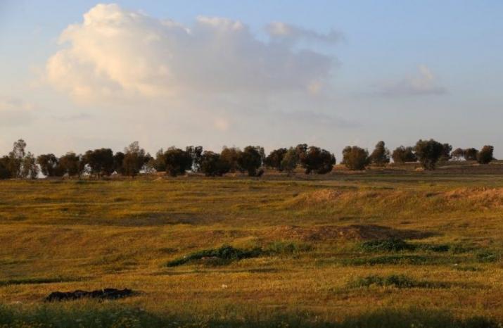 حالة الطقس: أجواء حارة رغم انخفاض الحرارة حالة الطقس: أجواء حارة رغم انخفاض الحرارة