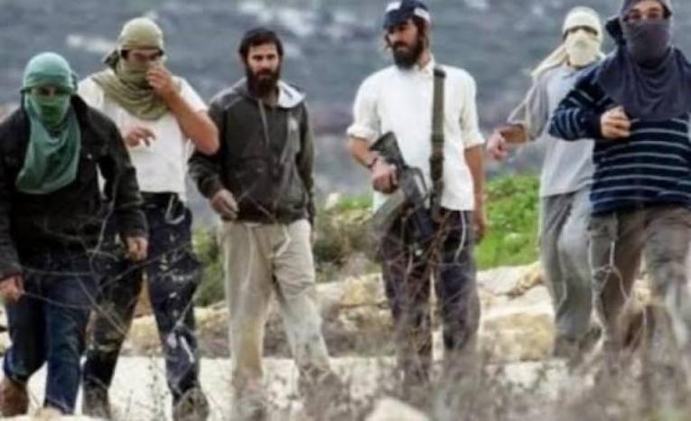 مستوطنون يهاجمون منزل مواطن شرق أم صفا مستوطنون يهاجمون منزل مواطن شرق أم صفا