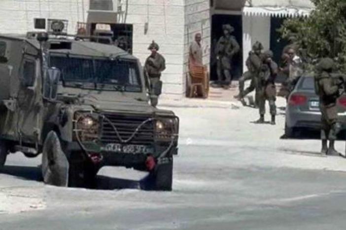 الاحتلال يداهم منتزه في ضاحية شويكة شمال طولكرم ويستولي على حيوانات برية الاحتلال يداهم منتزه في ضاحية شويكة شمال طولكرم ويستولي على حيوانات برية