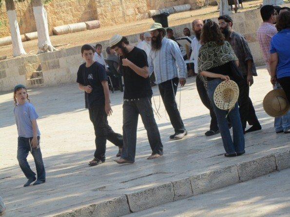 مستوطنون يقتحمون المسجد الأقصى ويؤدون صلوات تلمودية مستوطنون يقتحمون المسجد الأقصى ويؤدون صلوات تلمودية