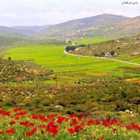 الطقس: أجواء معتدلة في المناطق الجبلية وحارة في بقية المناطق الطقس: أجواء معتدلة في المناطق الجبلية وحارة في بقية المناطق