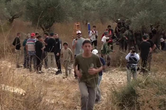 خلال 12 ساعة: 17 اعتداء للاحتلال والمستوطنين على قاطفي الزيتون في 6 محافظات بالضفة خلال 12 ساعة: 17 اعتداء للاحتلال والمستوطنين على قاطفي الزيتون في 6 محافظات بالضفة