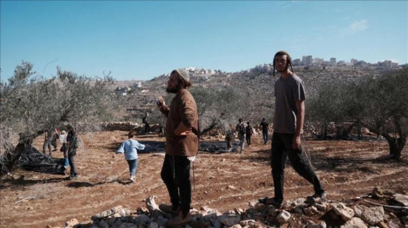 مستوطنون يهاجمون قاطفي الزيتون في بيت كاحل ويضعون أعلاما إسرائيلية على أراضٍ في وادي القف مستوطنون يهاجمون قاطفي الزيتون في بيت كاحل ويضعون أعلاما إسرائيلية على أراضٍ في وادي القف