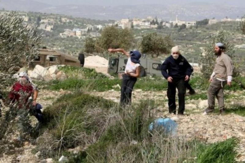 إصابة مواطنة في هجوم للمستوطنين جنوب الخليل