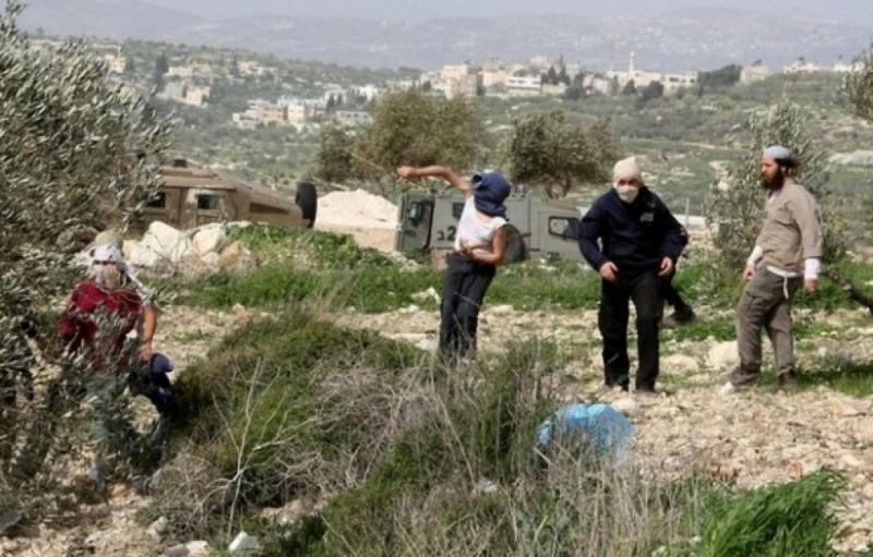 رام الله: مستوطنون يعتدون على مزارعين في بيت عور التحتا بحماية قوات الاحتلال