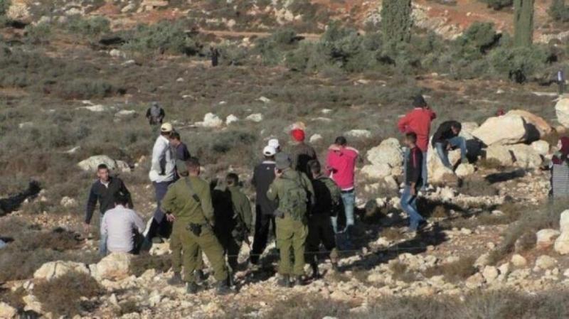 الاحتلال يعتقل مواطنا عقب اعتداء للمستوطنين جنوب الخليل